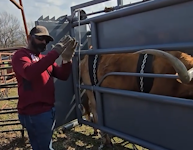 Hoof'n It - Tilt Chute